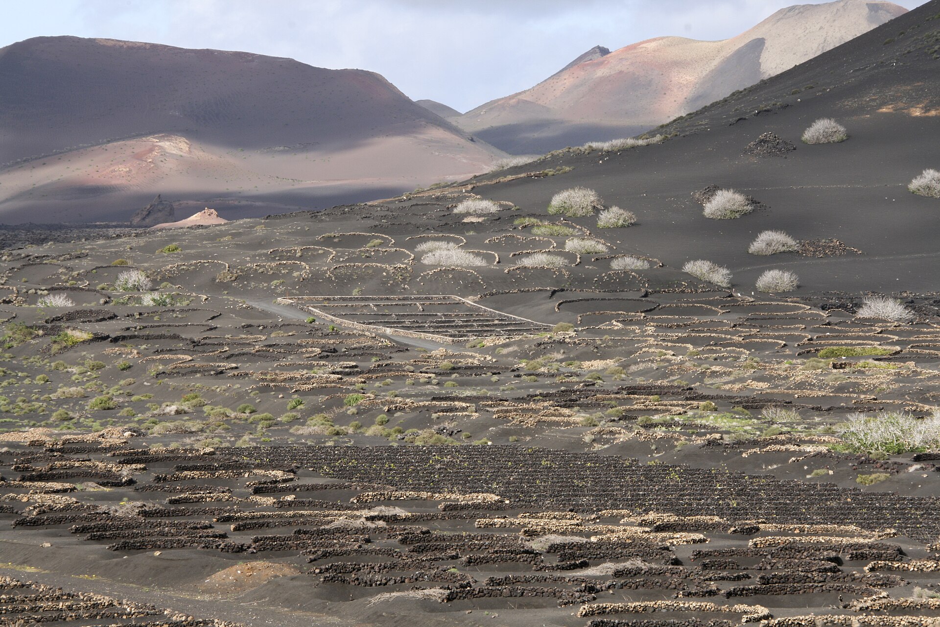 Paisaje volcánico de La Geria, Lanzarote